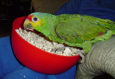 tequilapalomitas.jpg